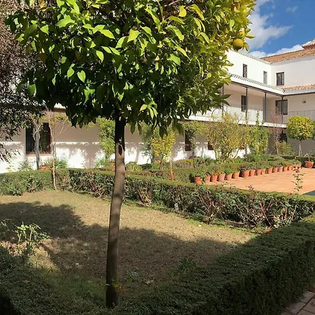 Apartment In Former Monastery With Patio In City Centre Free Parking Apartament Sewilla